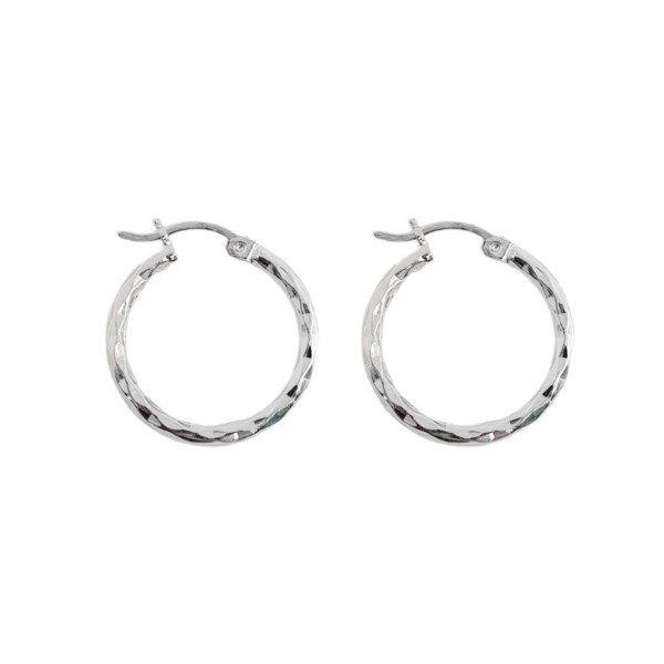 Producto - ARGOLLAS ZARA. 18MM.