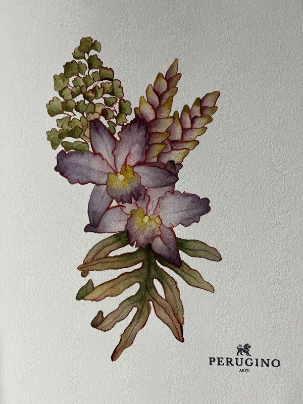 Producto - Orquideas y Bromelias