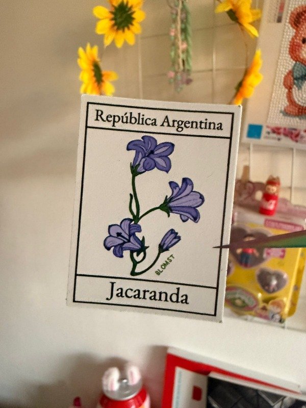 Producto - jacaranda