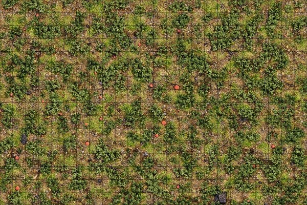 Producto - Bosque 2 L