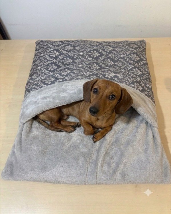 Producto - Bolsa de dormir con colchon arabesco gris