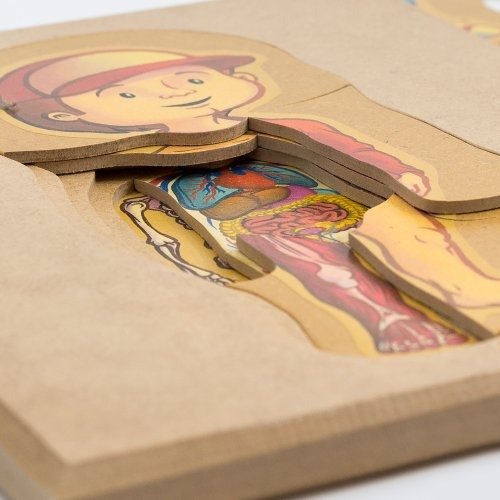 Producto - Rompecabeza cuerpo humano