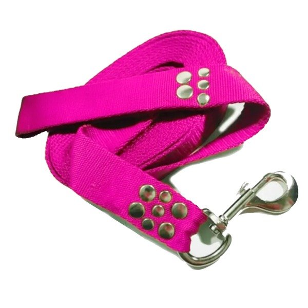 Producto - Correa de perro Strong x 4 cm de ancho con mosquetón de caballo - 5
