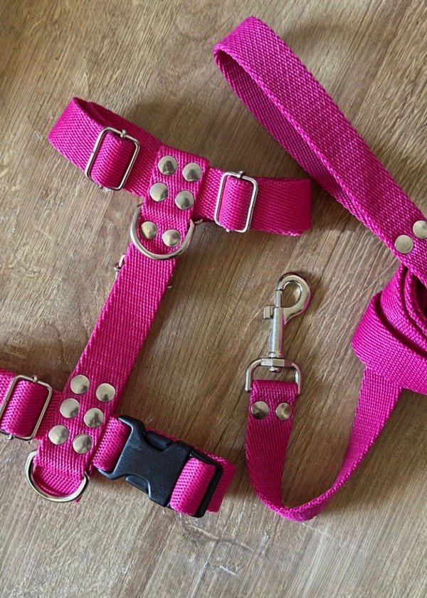 Producto - Pretal y correa PINK