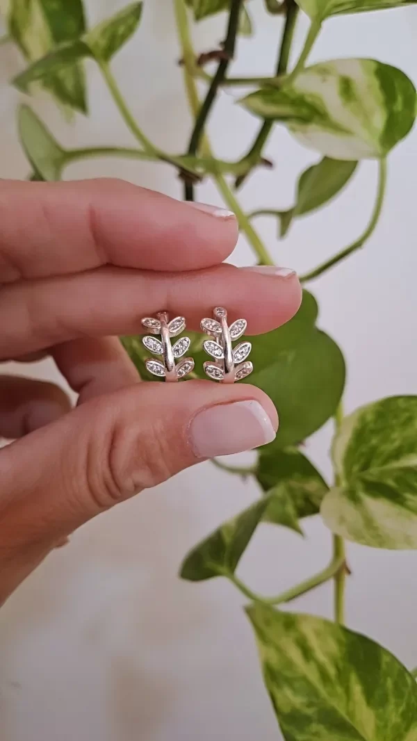 Producto - Aros Laurelitos