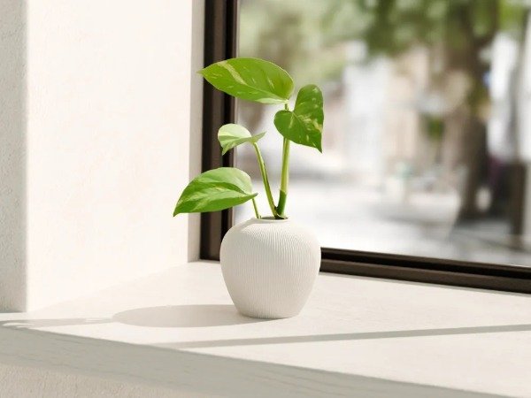 Producto - Maceta hidropónicas modulares - 0