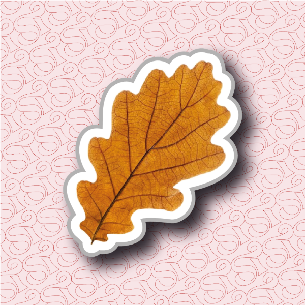 Producto - Hoja de roble