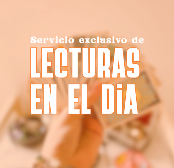 Producto - Lecturas en el Día - 0
