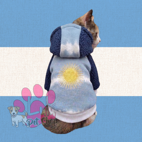 Producto - BUZO ARGENTINA BATIK