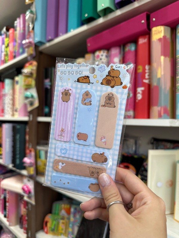 Producto - Notas Capybara X6