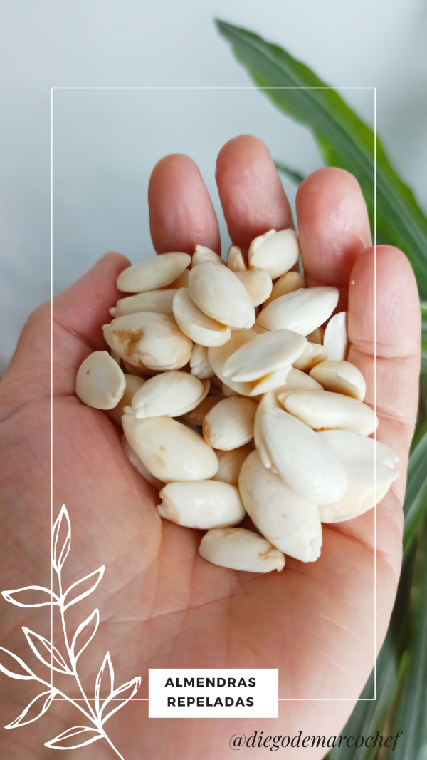 Producto - RECETARIO DIGITAL de LECHES VEGETALES - 4