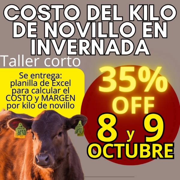 Producto - Taller corto: cálculo del costo del kilo de novillo - 0