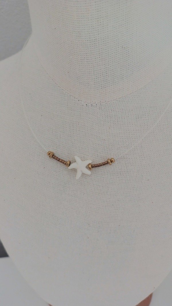 Producto - Invisible estrella de mar