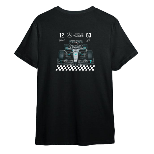 Producto - Remera Mercedes team