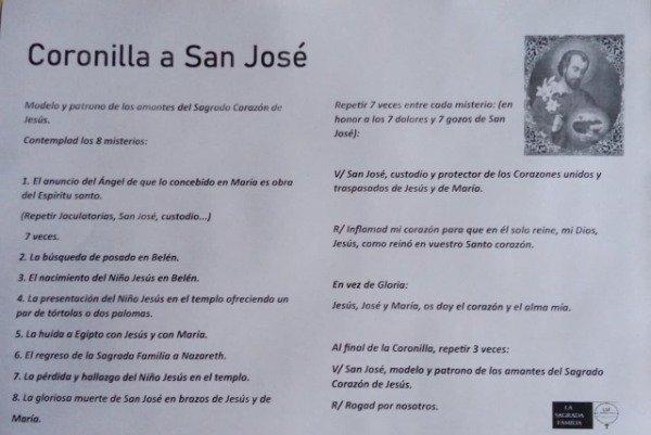 Producto - Coronilla de San José - paquete de 100 unidades