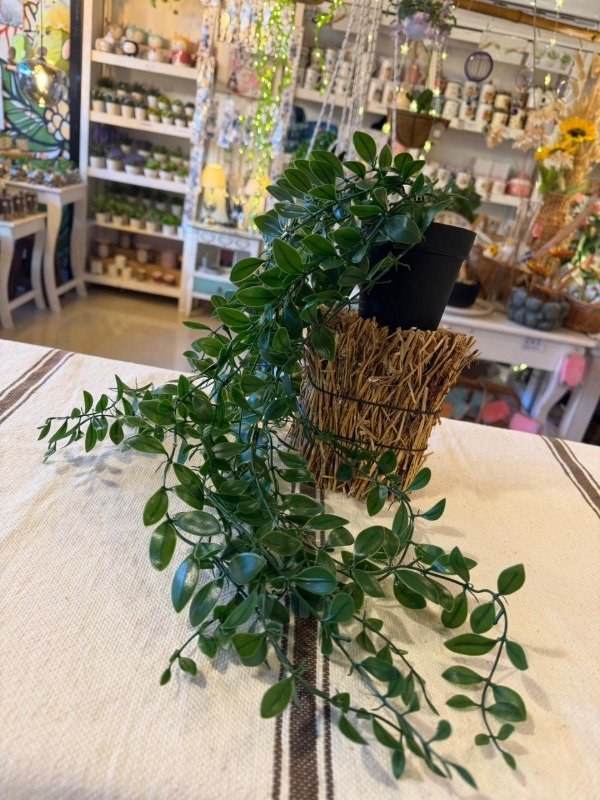 Producto - Caida con maceta 55 cm ( Efectivo: 14.000)