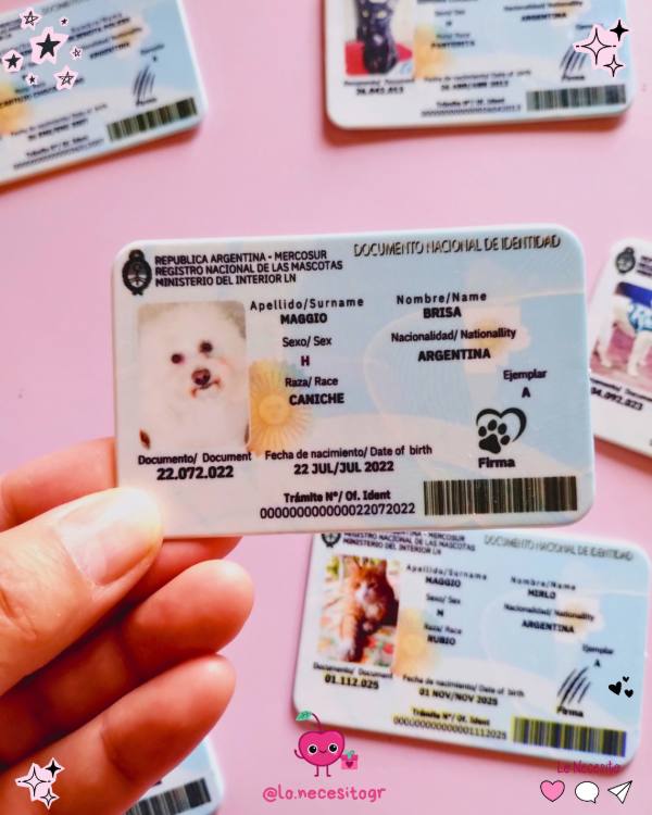 Producto - DNI mascotas - 4