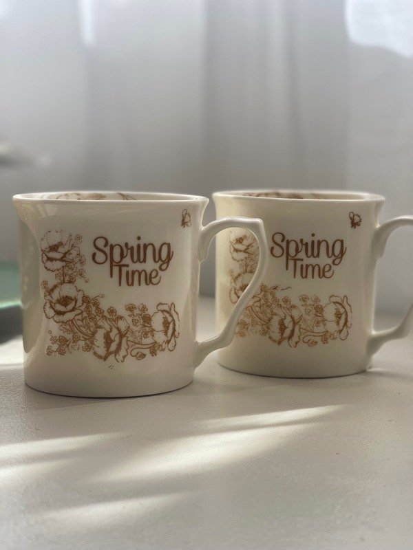 Producto - TAZA SPRING TIME