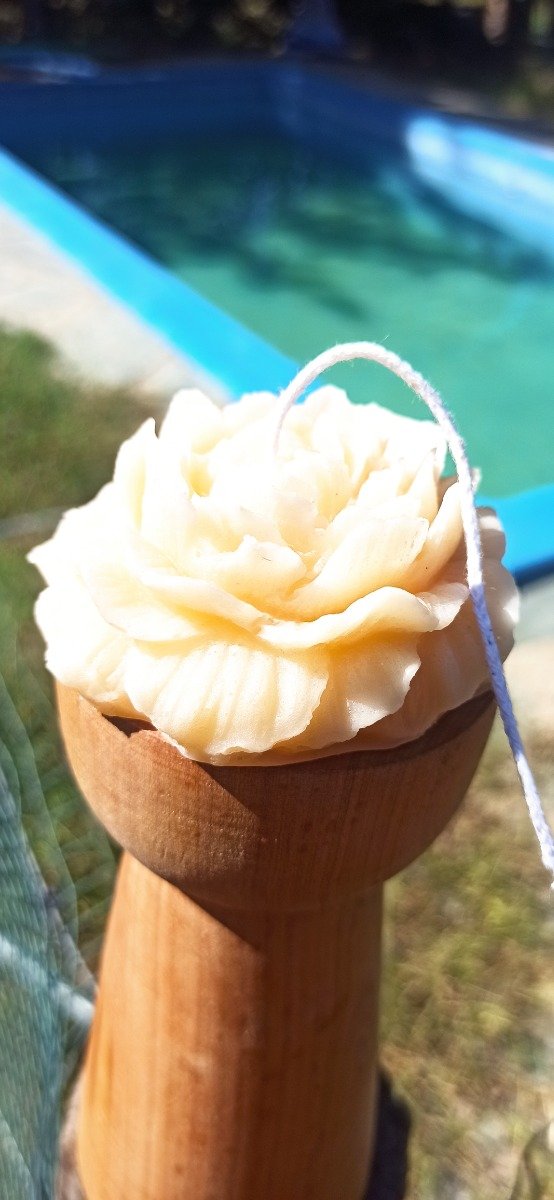 Producto - Peonia grande