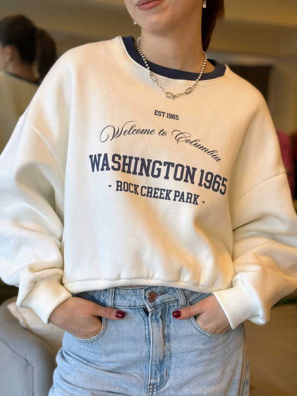 Producto - Buzo Washington