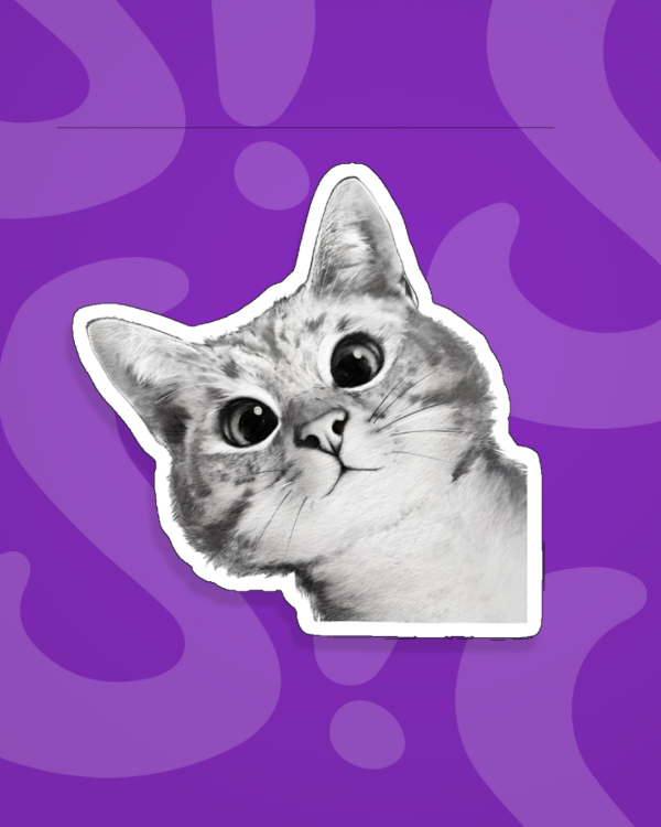 Producto - Gato Sorprendido