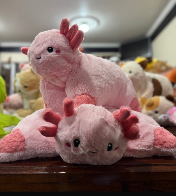 Producto - Almohada peluche