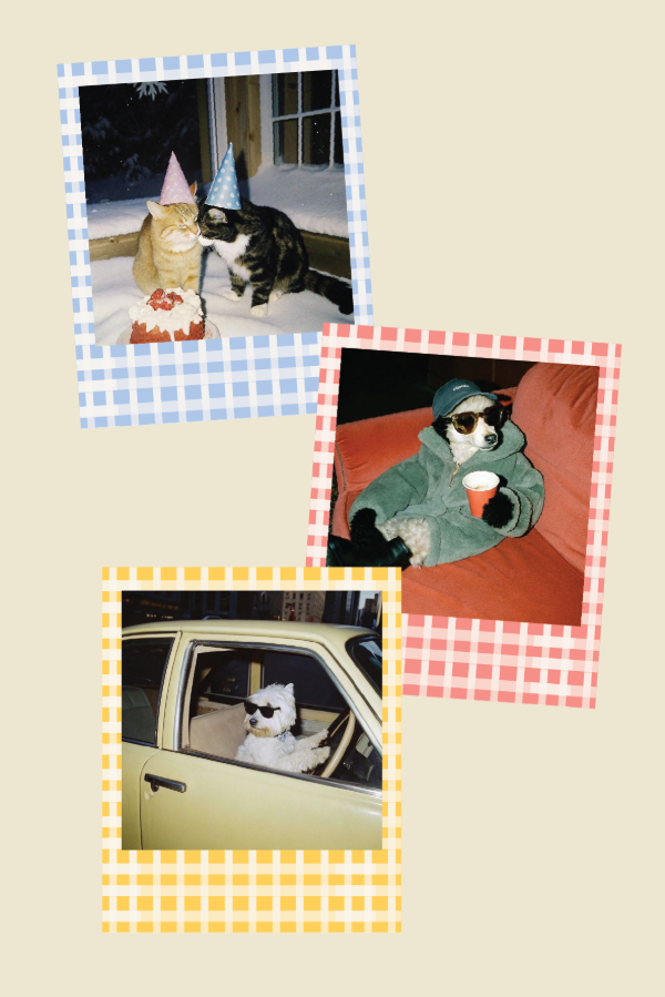 Producto - pack 14 polaroids [cuadros]