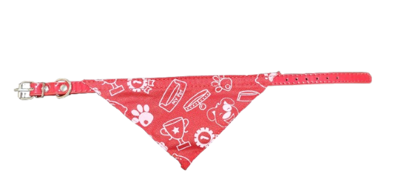 Producto - COLLAR CON PAÑUELO Nro. 2