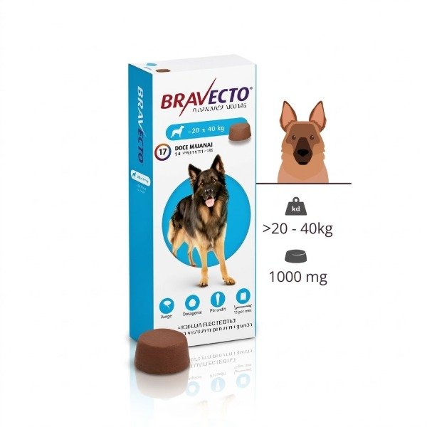 Producto - Bravecto 20 a 40 Kg Protección Total contra Pulgas y Garrapatas por 12 Semanas