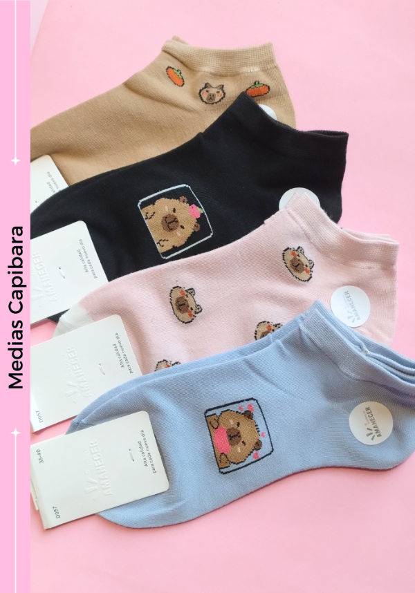 Producto - Medias Capibara Color