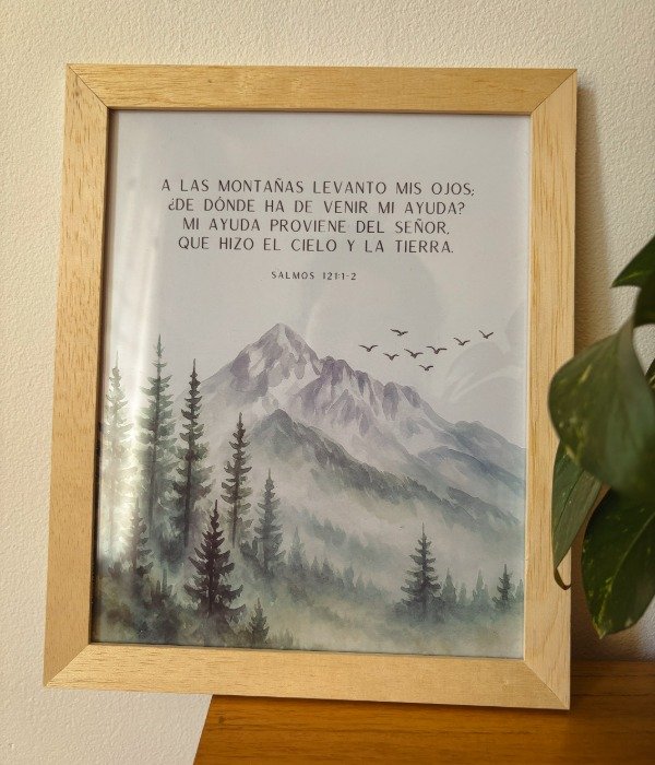 Producto - MI SOCORRO