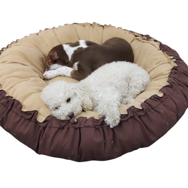 Producto - CAMA REVERSIBLE GDE 1 METRO / INV VER