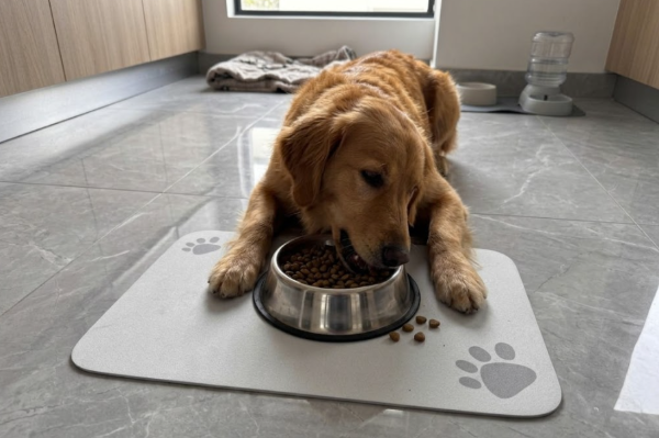 Producto - Alfombra Diatomita Ultra Absorbente para Mascotas (Gris Claro)