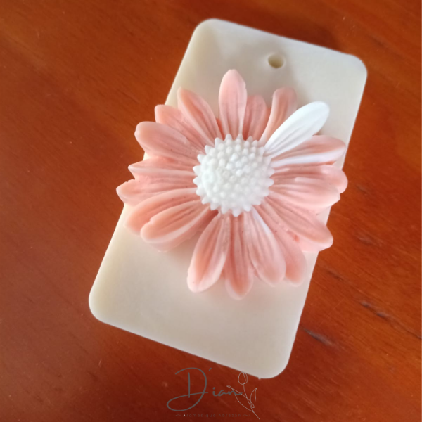 Producto - PLACAS AROMATICAS 50gr - 3