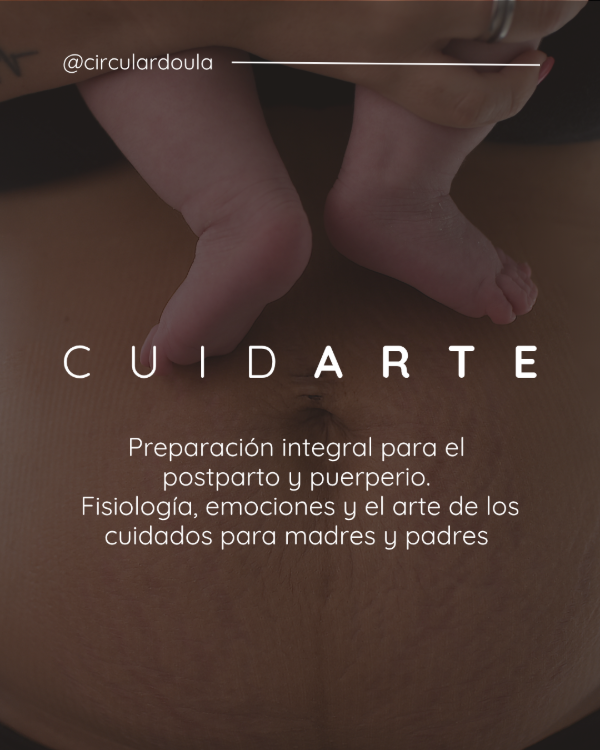 Producto - Curso de preparación para puerperio y post parto
