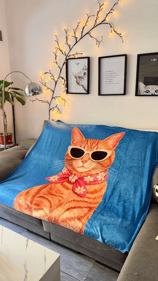 Producto - Manta gatito