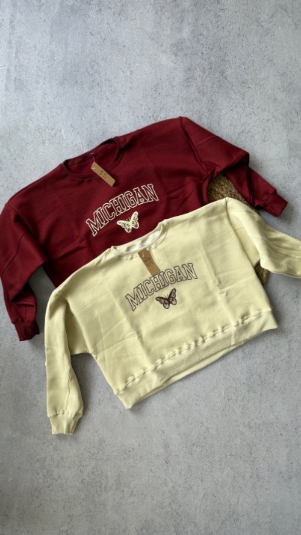 Producto - BUZO MICHIGAN