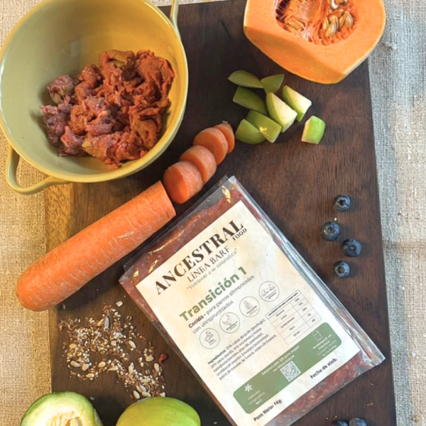 Producto - Viandas de transición para perro - 1K