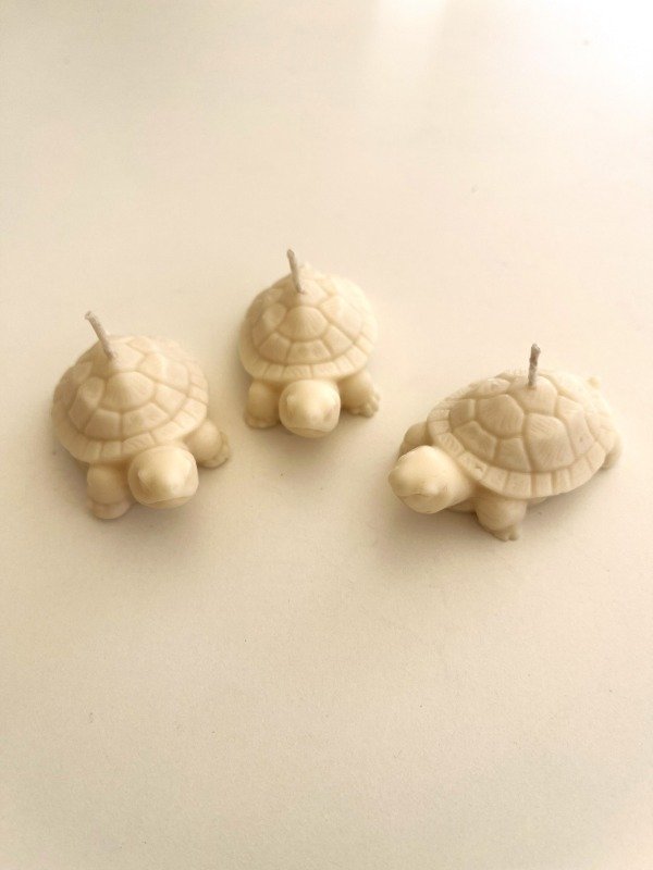 Producto - Tortuga