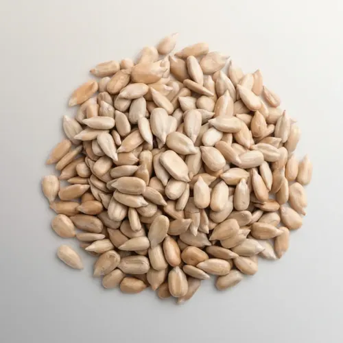 Producto - SEMILLAS DE GIRASOL X 500 GRS PELADO PEPINO