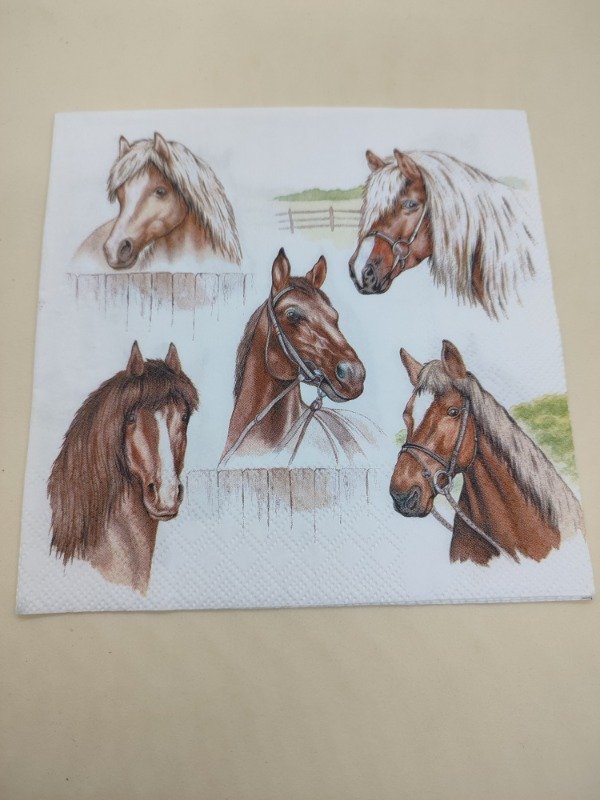 Producto - Horse range