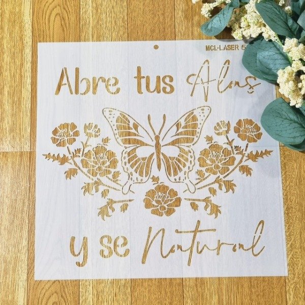 Producto - St 5209 de 25x25 cm Stencil Mariposa y frase