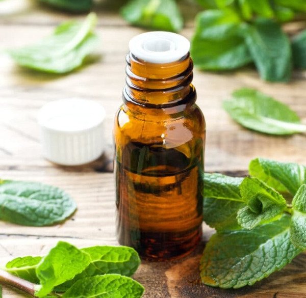 Producto - Aceite Esencial Menta