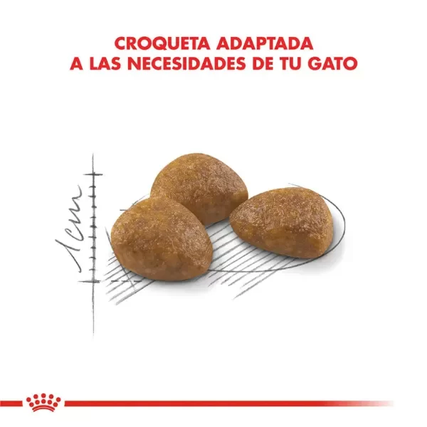 Producto - Alimento Royal Canin Gato Senior Active 7+ - 1,5 Kg - 3