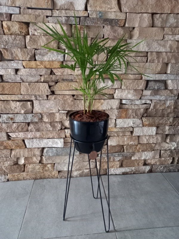 Producto - PIE DE HIERRO CLÁSICO