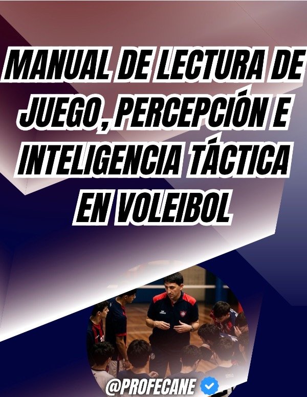 Producto - MANUAL DE LECTURA DE JUEGO