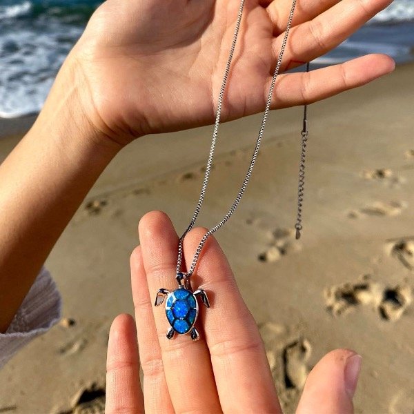 Producto - Tortuga maciza