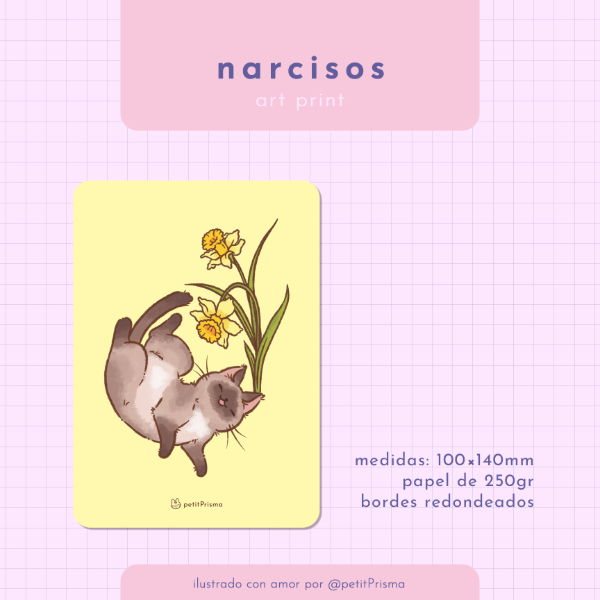Producto - Art Print "Narcisos"