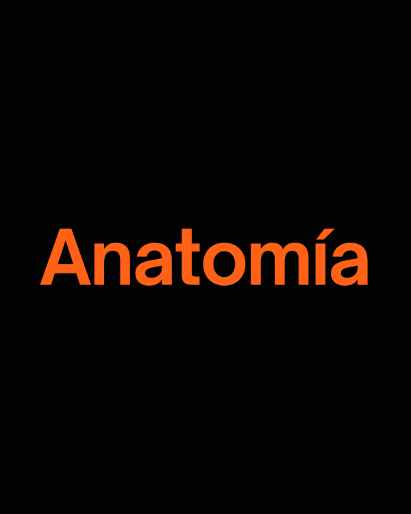 Producto - Curso Anatomía 2do Parcial