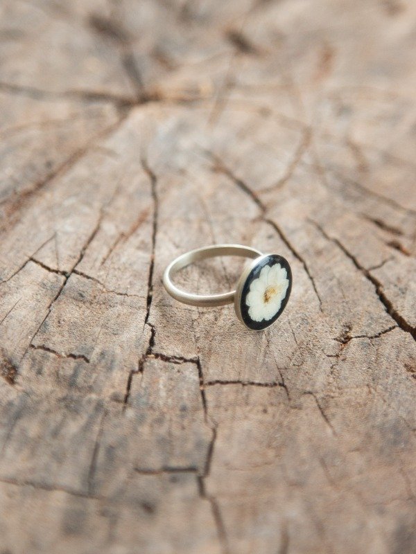 Producto - Blanco - 3